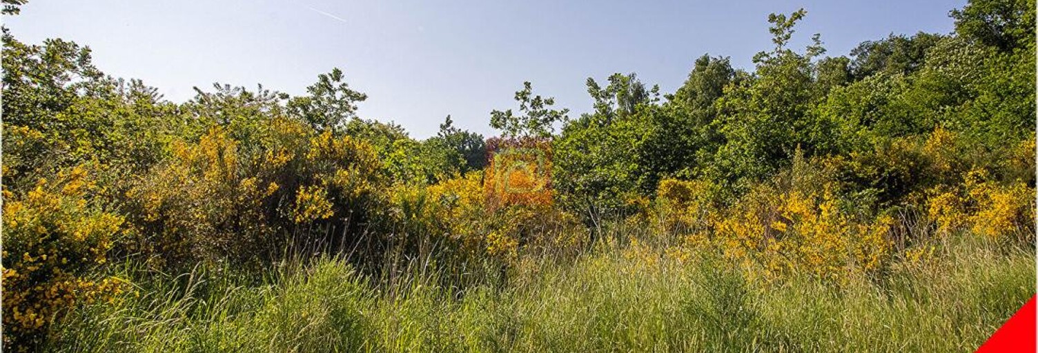 Maison  101030 m² à vendre à Le Controis-en-Sologne (41700)