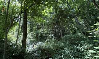 Terrain  3550 m² à vendre à Bourmont-entre-Meuse-et-Mouzon (52150)