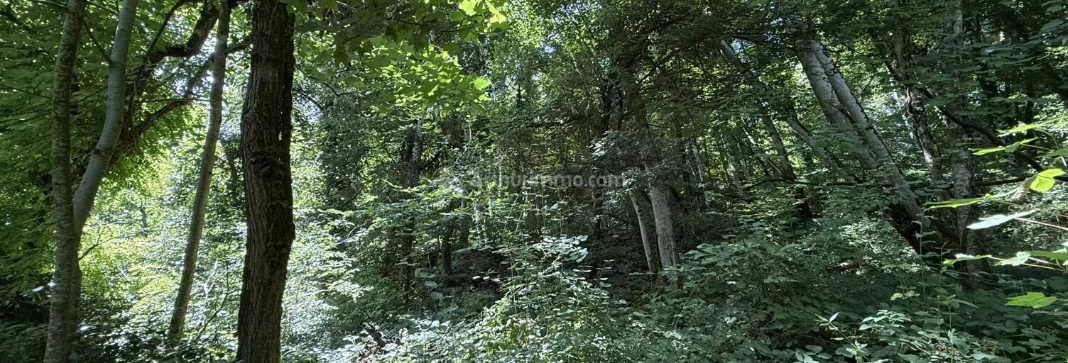 Terrain  3550 m² à vendre à Bourmont-entre-Meuse-et-Mouzon (52150)