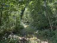 Parcelle de bois — photo 2