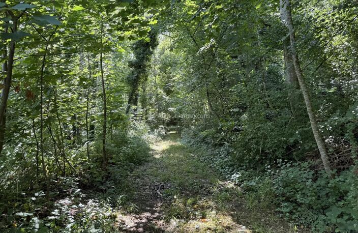 Parcelle de bois — photo 2