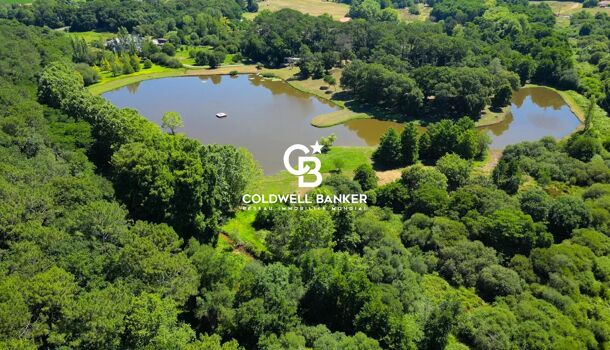 Propri&eacute;t&eacute; 8 pièces  à vendre Angresse 40150