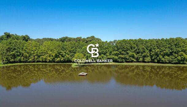 Propri&eacute;t&eacute; 8 pièces  à vendre Angresse 40150