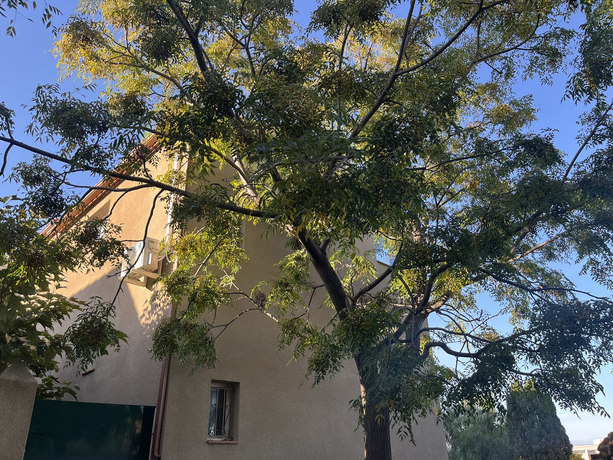 Villa / Maison  T4 à vendre Saleilles 66280