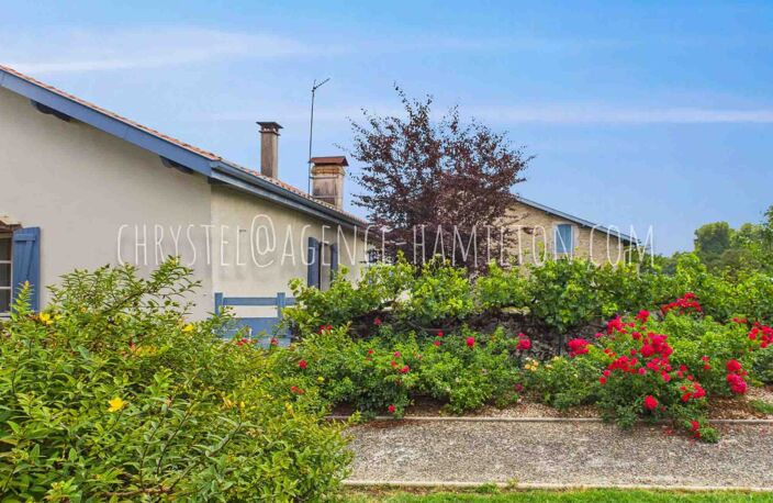 Maison — photo 4