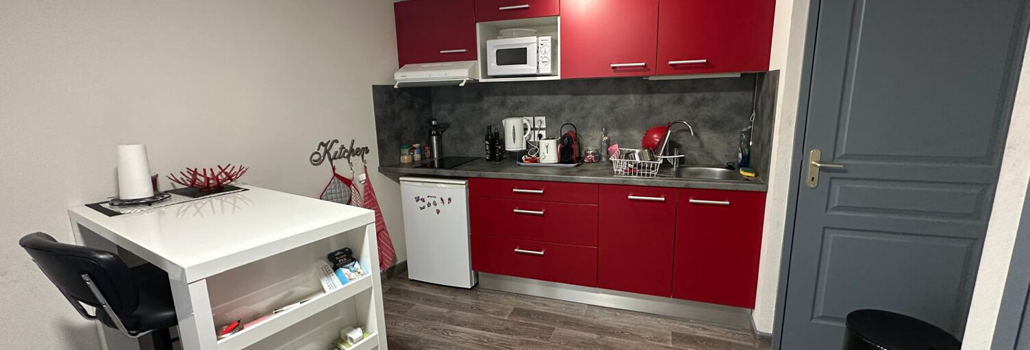 Appartement 1 Pièce 29 m² à louer à Le Puy-en-Velay (43000)