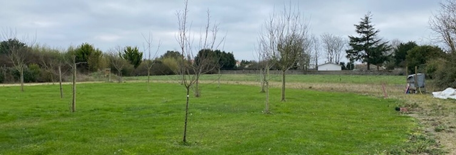 Terrain  2500 m² à vendre à Champagné-les-Marais (85450)