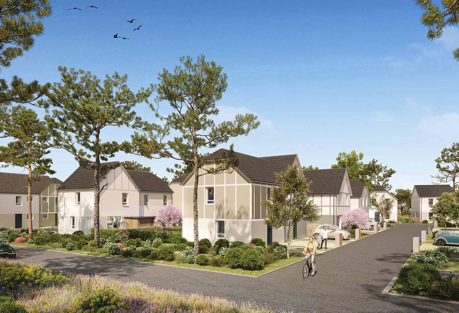 Nouveau domaine de maisons à Hauteville-sur-Mer — photo 1