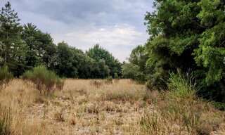 Terrain  4198 m² à vendre à Murs (84220)