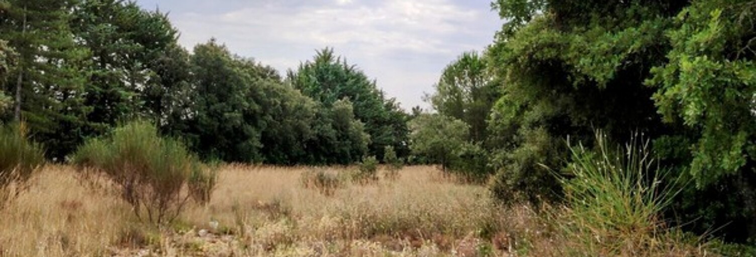 Terrain  4198 m² à vendre à Murs (84220)