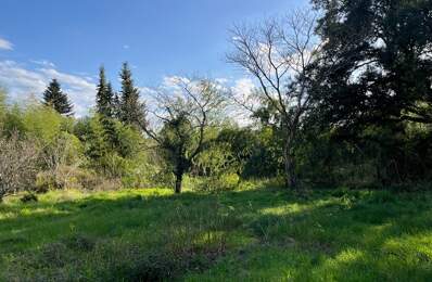 Terrain de 2500m2 constructible centre bourg — photo du bien