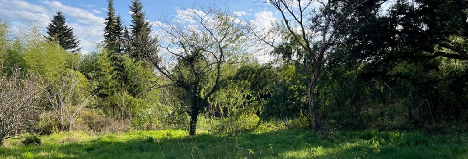 Terrain  2500 m² à vendre à Rion-des-Landes (40370)