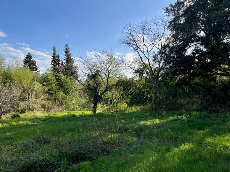Terrain de 2500m2 constructible centre bourg — photo 1