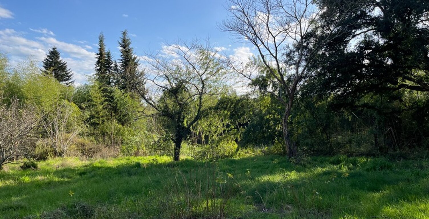 Terrain de 2500m2 constructible centre bourg — photo 1