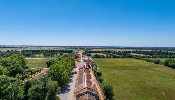 Local commercial 20 pièces  à vendre Salon-de-Provence 13300