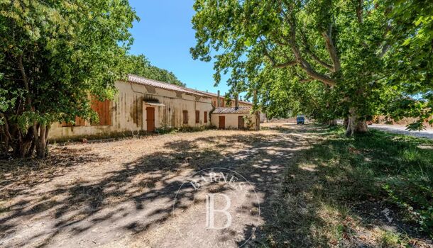 Local commercial 20 pièces  à vendre Salon-de-Provence 13300