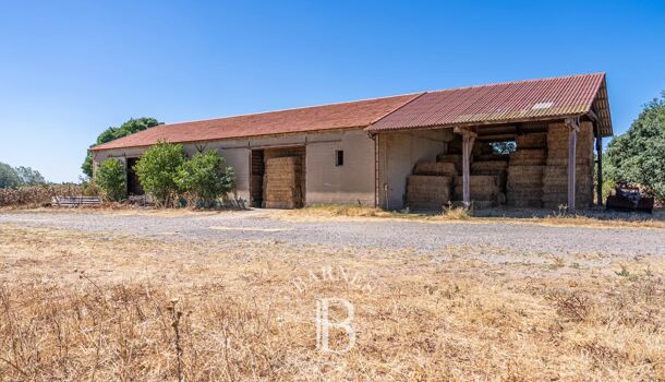 Local commercial 20 pièces  à vendre Salon-de-Provence 13300