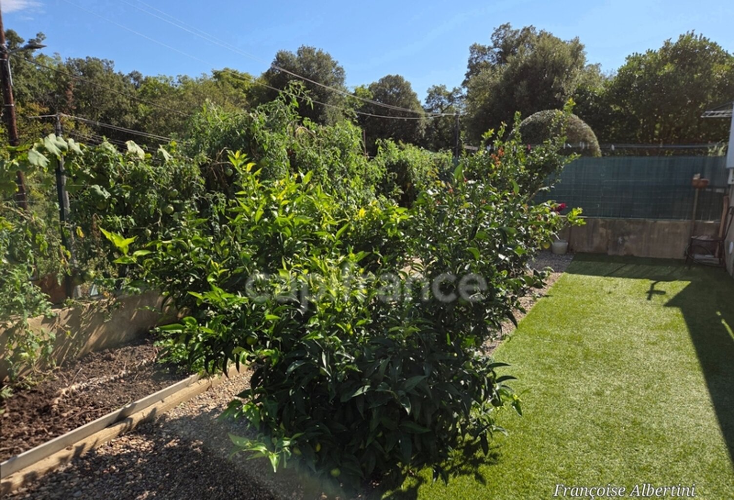 Maison à vendre 3 pièces  - Jardin - terrasse - Santa Maria Poggio - Proche des plages (Haute Corse 2b) — photo 1