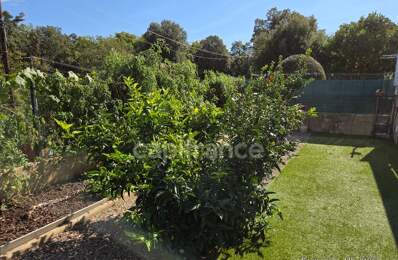 Maison à vendre 3 pièces  - Jardin - terrasse - Santa Maria Poggio - Proche des plages (Haute Corse 2b) — photo du bien