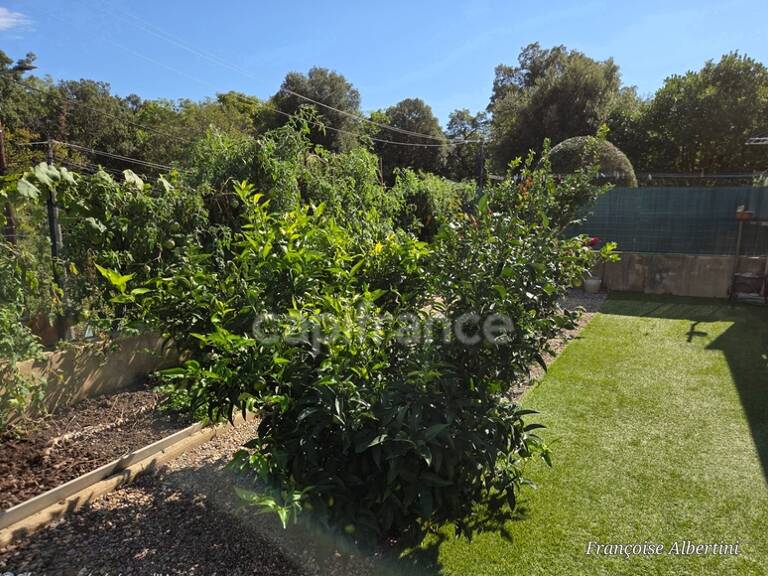 Maison à vendre 3 pièces  - Jardin - terrasse - Santa Maria Poggio - Proche des plages (Haute Corse 2b) — photo 1