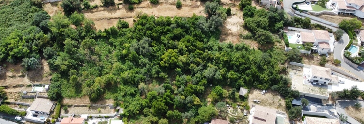 Terrain  2130 m² à vendre à Falicon (06950)