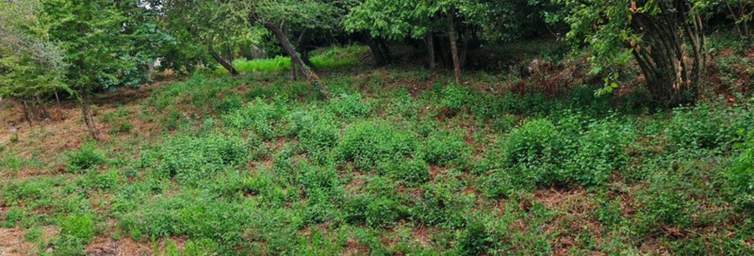 Terrain  1027 m² à vendre à Falicon (06950)