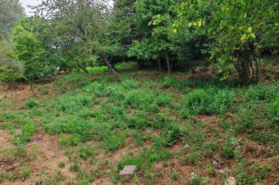 Terrain  339000 €