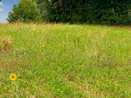Dpt Gers (32), à BASSOUES, à vendre terrain de 3 000,00 m² — photo 2