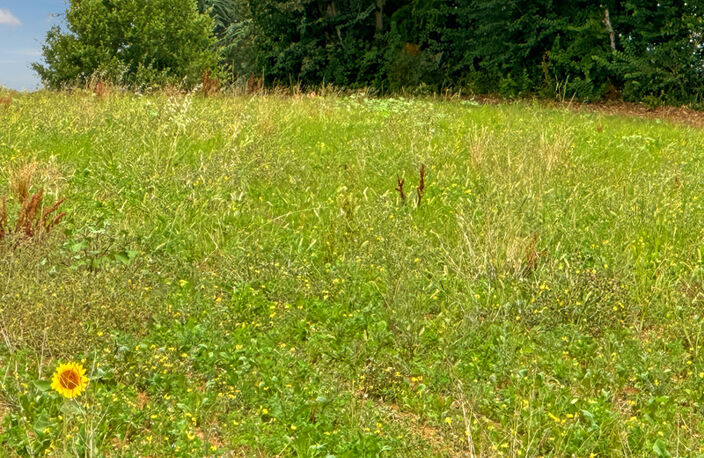 Dpt Gers (32), à BASSOUES, à vendre terrain de 3 000,00 m² — photo 2