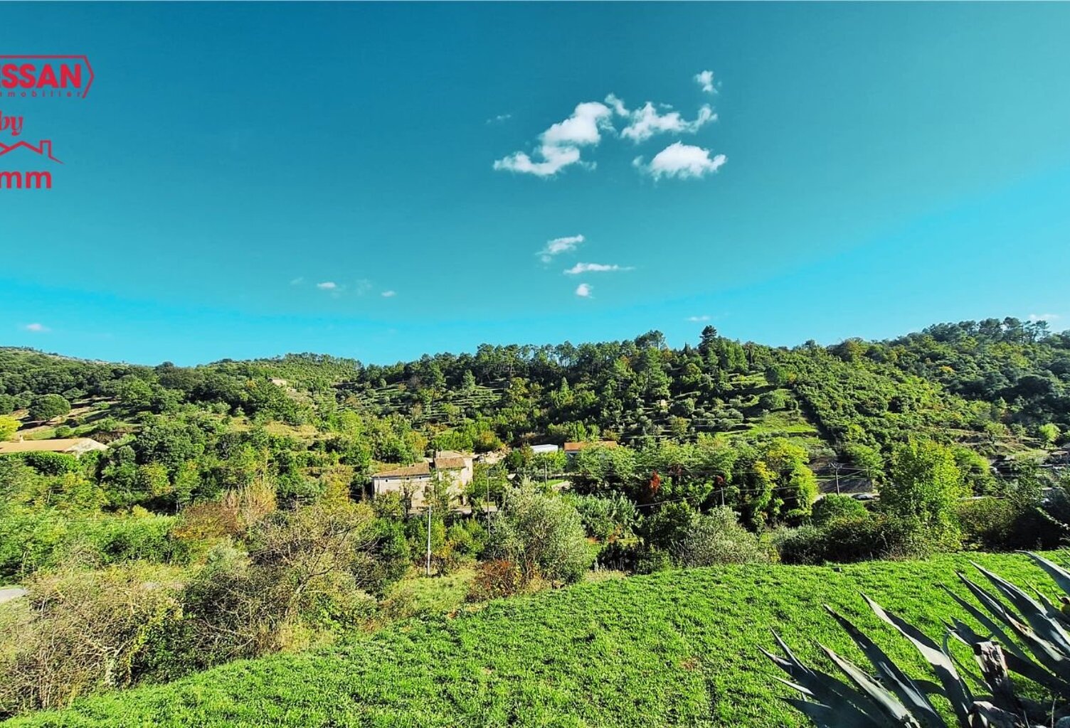 Terrain — photo 1