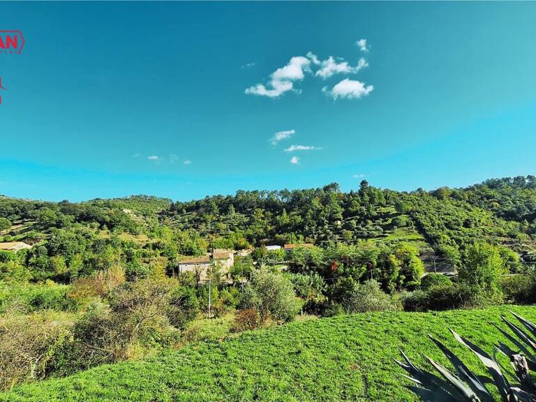 Terrain — photo 1