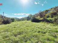 Terrain — photo 2