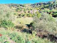 Terrain — photo 4