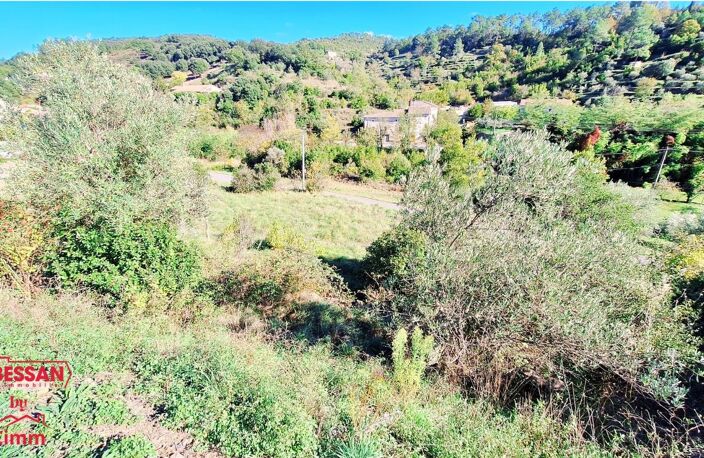 Terrain — photo 4