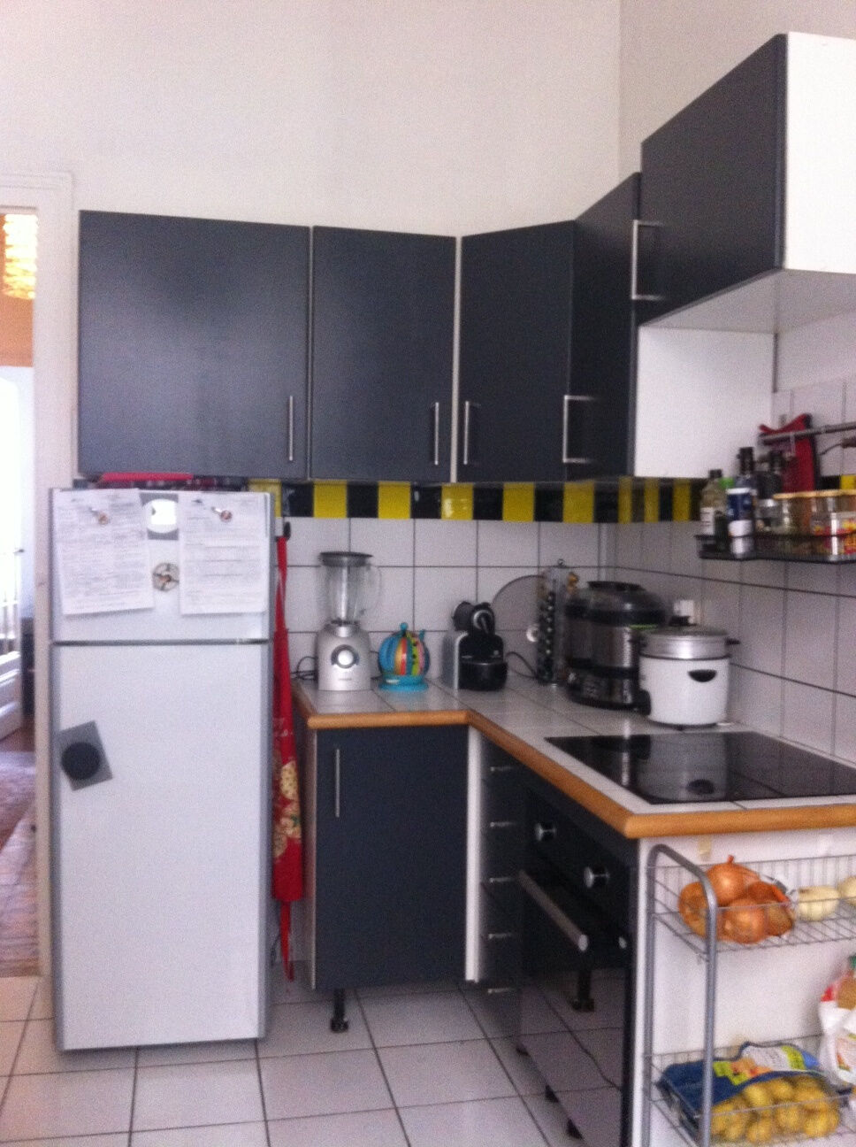 Appartement  T3 à louer Grenoble 38000