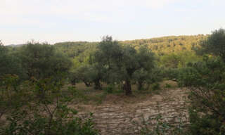 Terrain  6543 m² à vendre à Solliès-Toucas (83210)