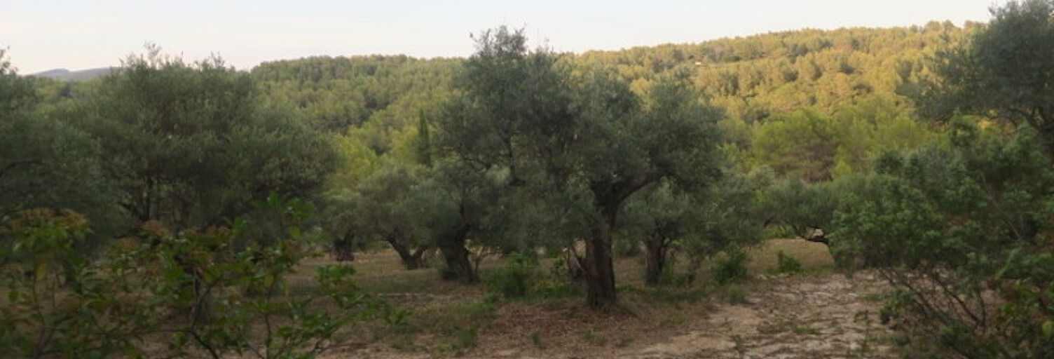 Terrain  6543 m² à vendre à Solliès-Toucas (83210)