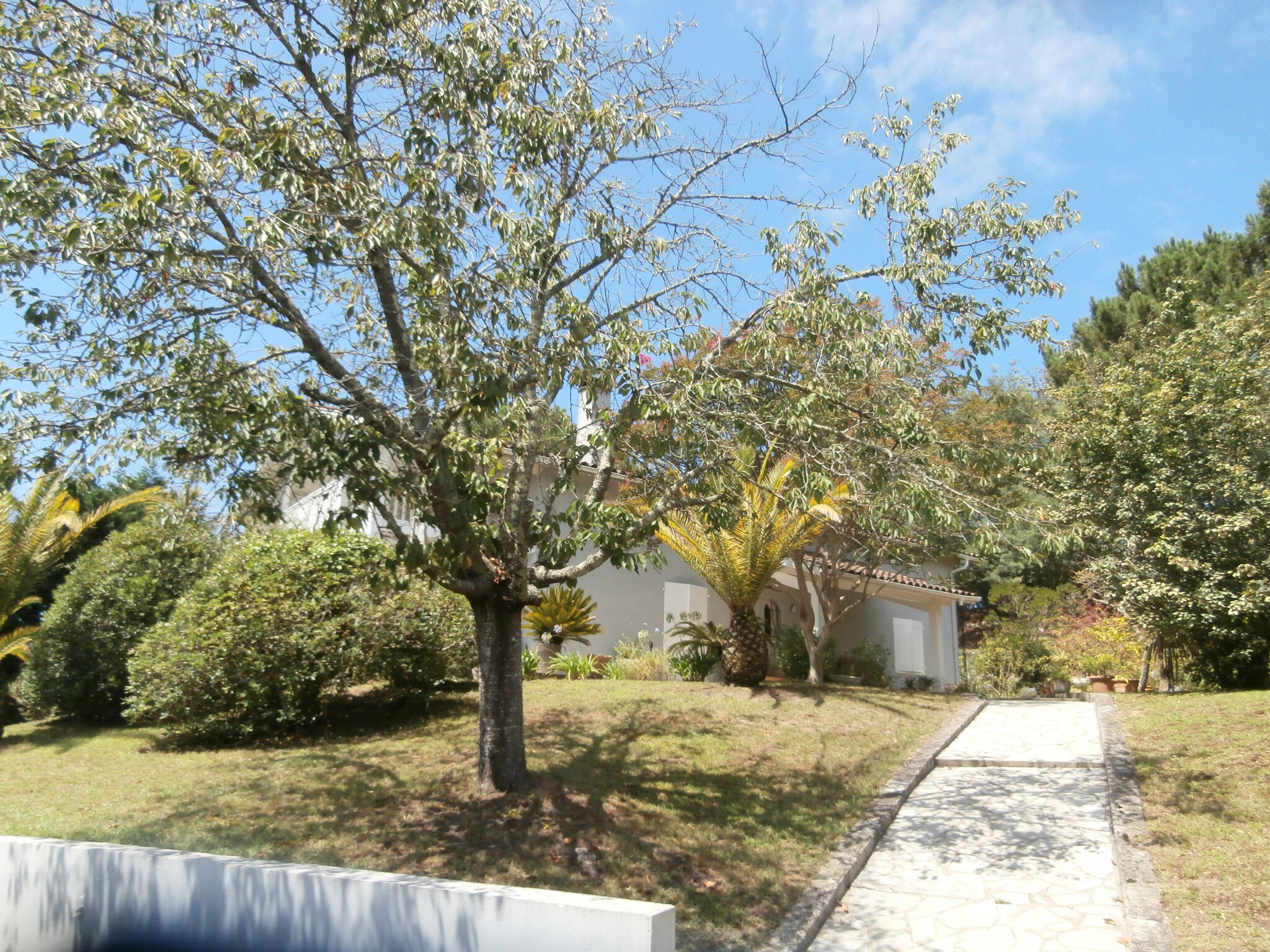 Villa / Maison  T8 à vendre Labenne 40530