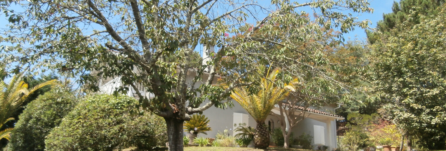 Maison 8 Pièces 163 m² à vendre à Labenne (40530)