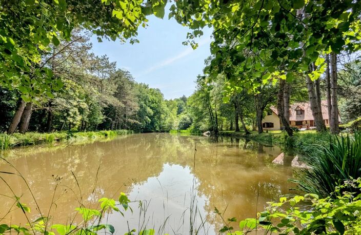 Propriété avec piscine,étang - 6,6hectares — photo 3
