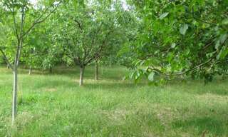 Terrain  5957 m² à vendre à Alvignac (46500)