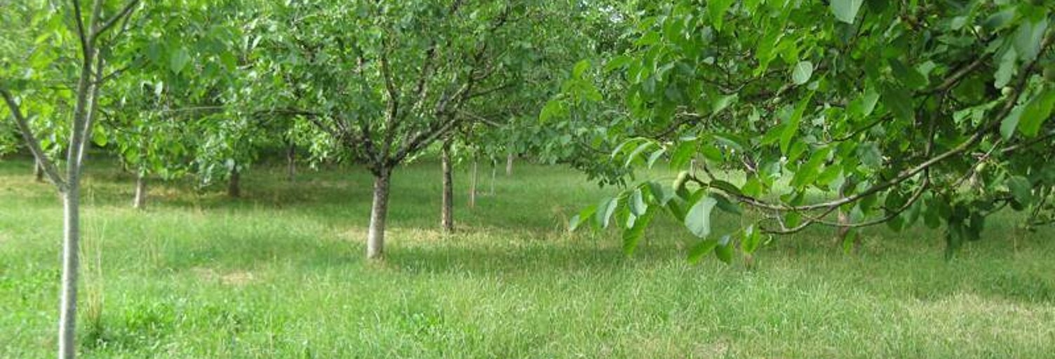 Terrain  5957 m² à vendre à Alvignac (46500)