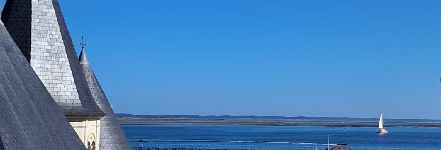 Appartement 1 Pièce 25 m² à vendre à Arcachon (33120)