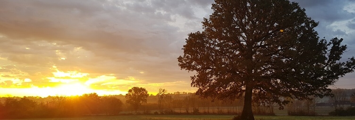 Maison 5 Pièces 120 m² à vendre à Rouessé-Vassé (72140)