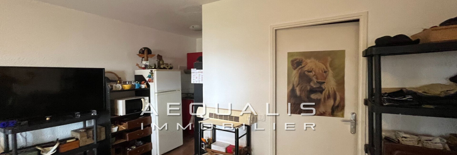 Appartement 1 Pièce 24 m² à vendre à Saint-Laurent-du-Var (06700)