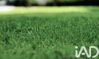 Terrain  1200 m² à vendre à Montignac-Lascaux (24290)