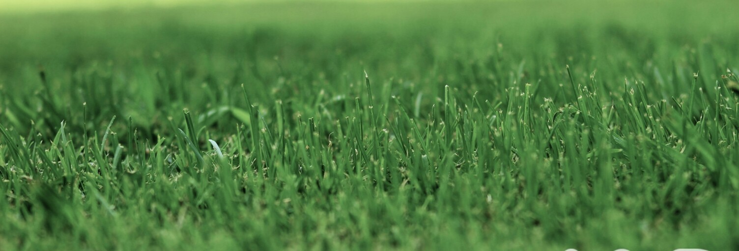 Terrain  1200 m² à vendre à Montignac-Lascaux (24290)