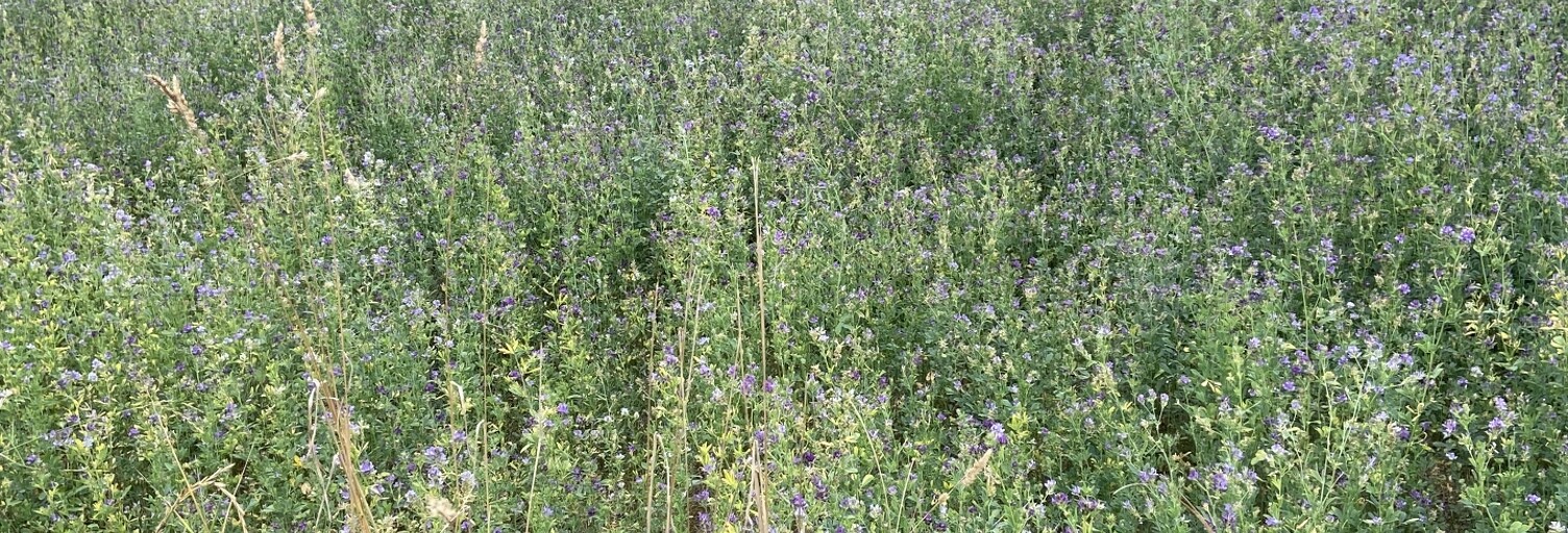 Terrain  3116 m² à vendre à Saint-Cybranet (24250)