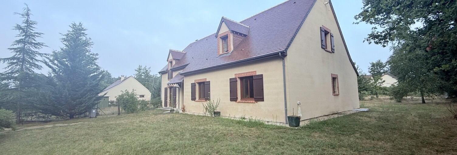 Maison 5 Pièces 262 m² à vendre à Soings-en-Sologne (41230)