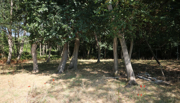 Terrain  à vendre Saint-Just-Luzac 17320